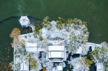 被一场初雪带火的千年古城 济南冬景惊艳全国