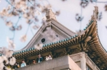 冬季的武汉 有点东西的哦
